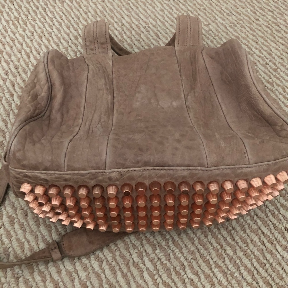 Alexander Wang Coco Rocco in Beige Soft Pink